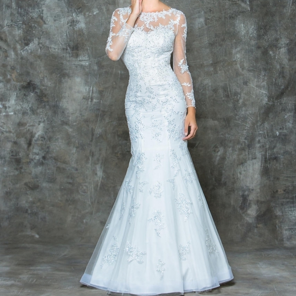 Glow size 20 trumpet mermaid wedding dress. Lace, mesh, appliqué.